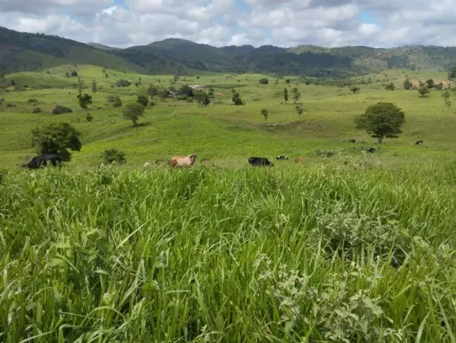 Fazenda com 77,44ha - Região de Águas Formosas 