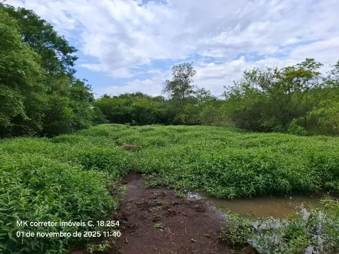 Chácara de 2 hectares (20.000,00 m2), lote rural, Água do Monjolinho em Ibiporã.