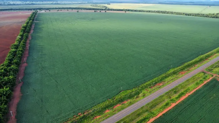 Fazenda Goiás 4.926.1 hack. E 1.408hec irrigados