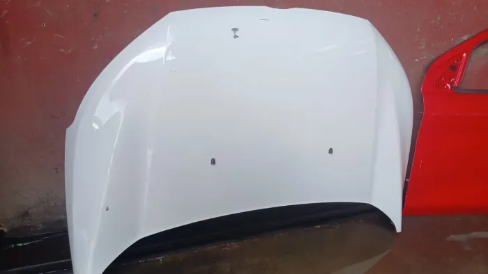 Capô Ford Ecosport 2013 A 2017 Original 