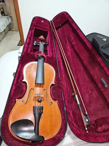 Violino profissional