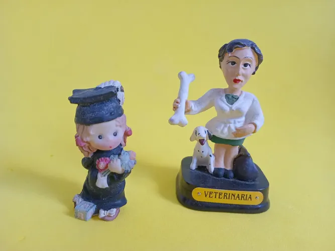 Miniaturas Decorativas Veterinária e Formanda