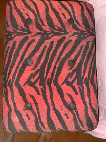 Puff Zebra Baú  - Estampa Animal