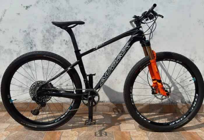 Bike Audax All Mountain Carbono 17?