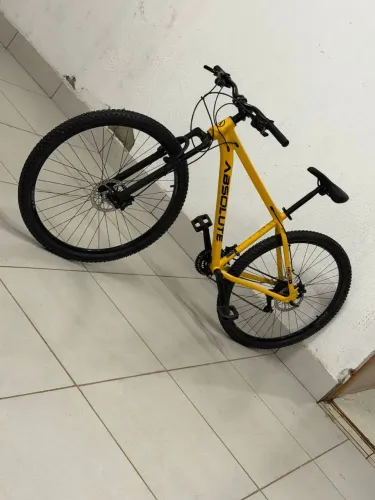 Bike absolute aro 29