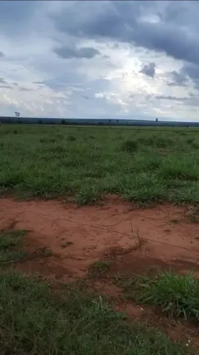 FAZENDA À VENDA CONFRESA/MT 63 Alqueires