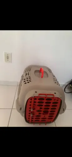Vendo caixa de transporte Pet, número 3 ( Pra cidade de alagoinhas)