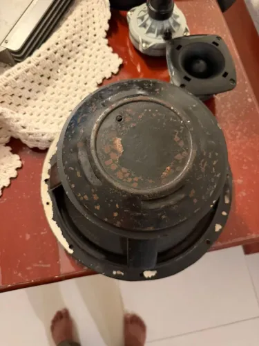TENHO UM AUTO FALANTE PIONNER  DE 450 RMS 12 POLEGADAS E UM MODULO SOUND MAGNUS 