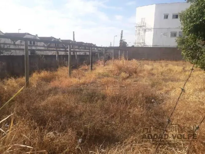 Terreno Padrão em Bauru