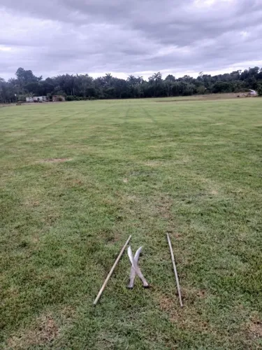 GRAMA ESMERALDA