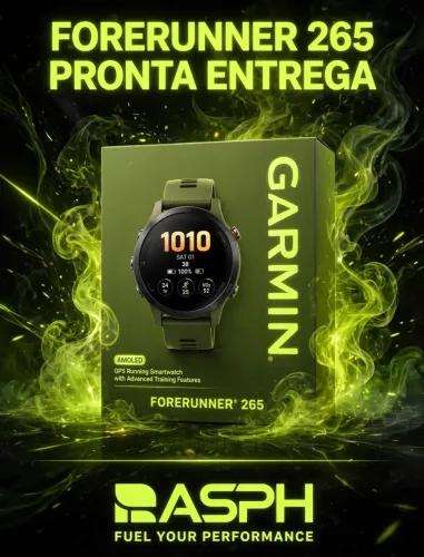 Garmin 265