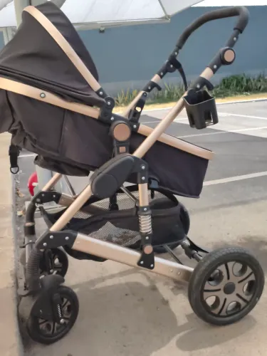 Carrinho de bebê modelo Moisés 