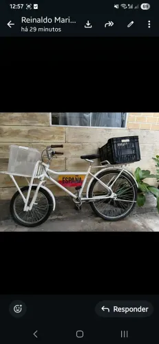 Bicicleta Cargueira 