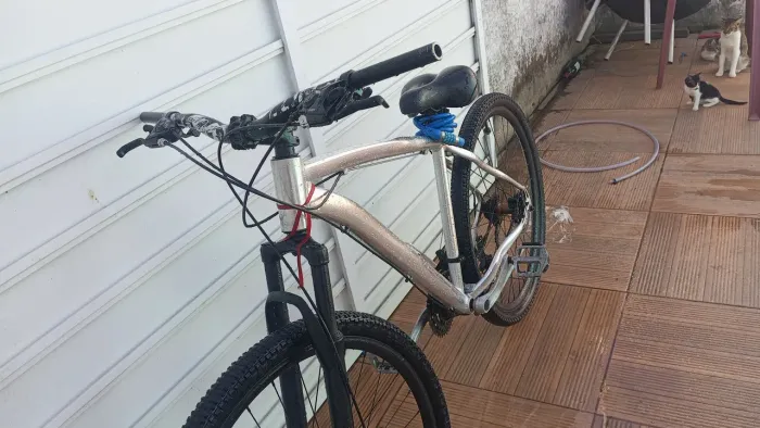 Bicicleta