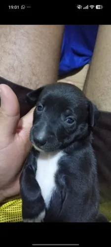 Doação