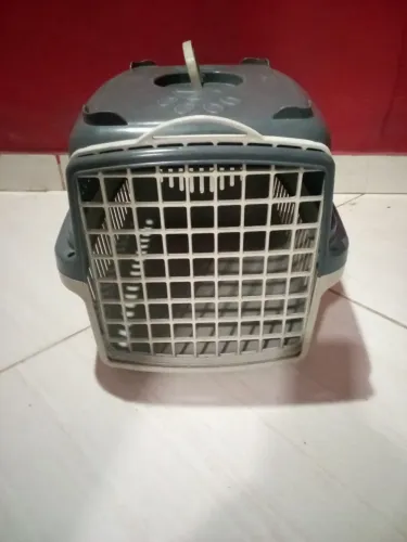 Casinha de pet