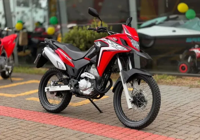 Honda XRE 300 Rally flex 2019
