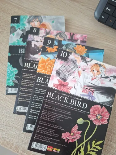 Mangá Black Bird - Edições 7, 8, 9 e 10 - Panini