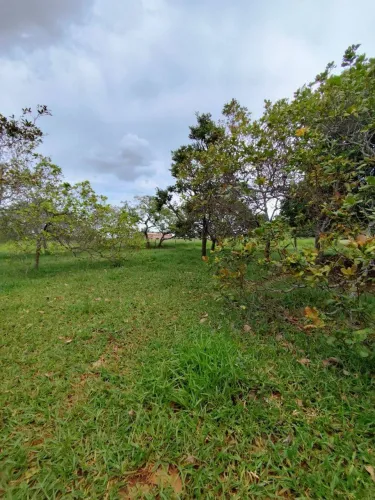 Chácara com 2 dormitórios à venda, 10000 m² por R$ 400.000,00 - Cachoeirinha - Aragoiânia/