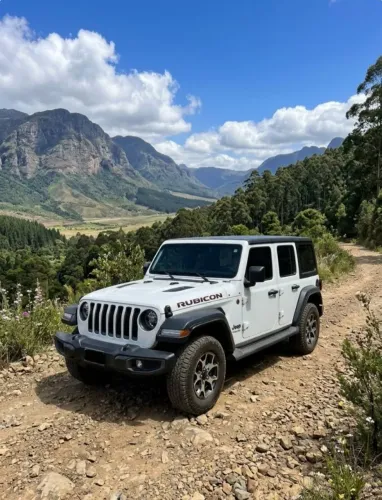 Jeep Wrangler Rubicon 2.0 Turbo 4X4 4P Aut. 2024