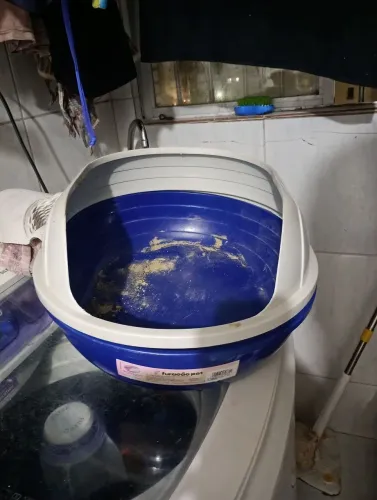 Caixinha de area para gato ?