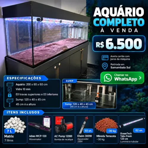 AQUÁRIO COMPLETO - EXCELENTE OPORTUNIDADE À VENDA - R$ 6.500