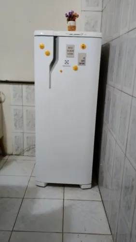 Geladeira Electrolux RE31