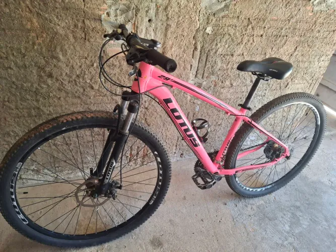 Vendo bicicleta Lotus aro 29