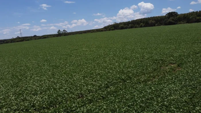 Sítio à venda em Itapetininga-SP: 411.400,00 m² de área na Área Rural de Itapetininga!
