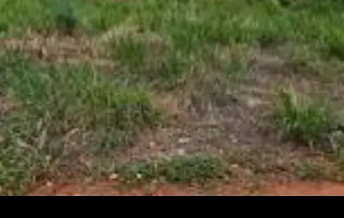 Vendo lote em Januária Mg 360 metros quadrados
