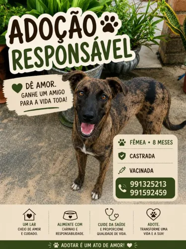 Adoção responsável
