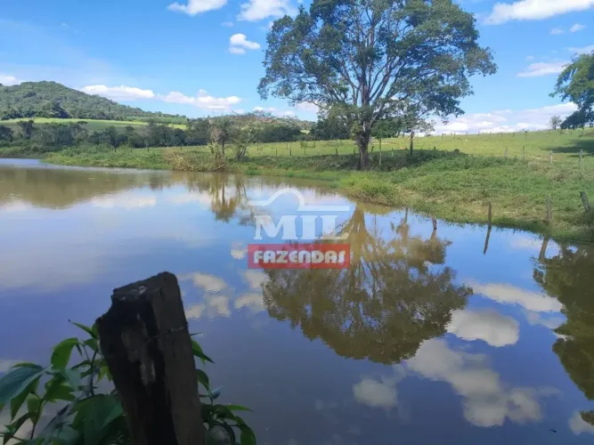 Fazenda 110 alqueires (532,4 hectares) Anicuns - GO