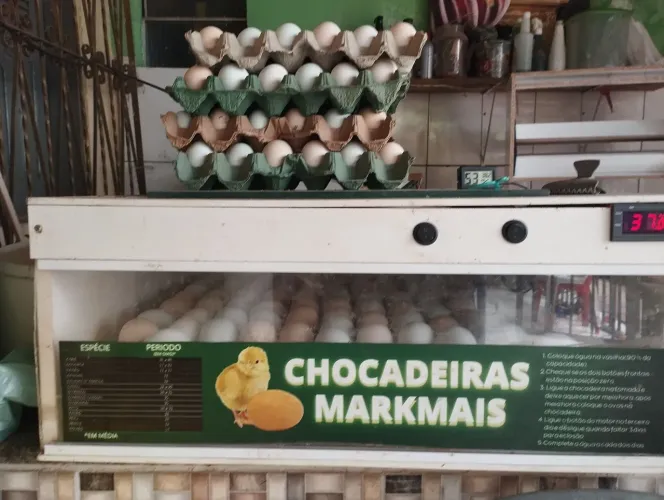 Caipiras