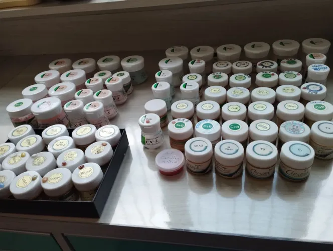 Cerâmica Noritake Prótese 