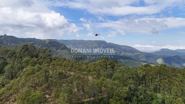 Área Rural com Eucaliptos à Venda na Região dos Mellos - Campos do Jordão/SP