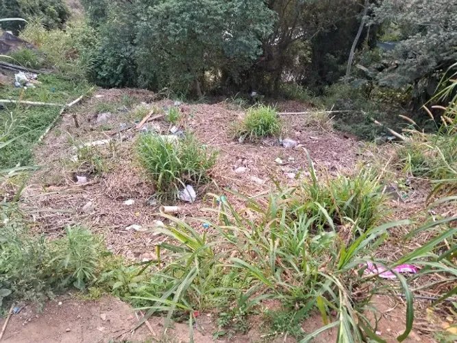 OPORTUNIDADE NA COSTEIRA: Terreno Ideal para Construir!