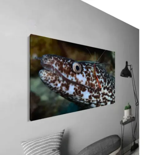 Quadro com Fotografia da Natureza (tamanho 30 x 40cm em tela canvas)