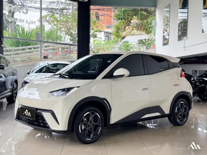 BYD Dolphin Mini (Elétrico) 2027