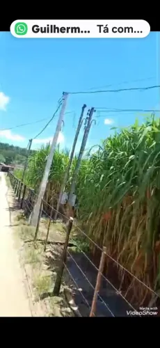 Vendo chácara no bairro dos binos conchas. Lugar calmo e tranquilo otimo para lazer.