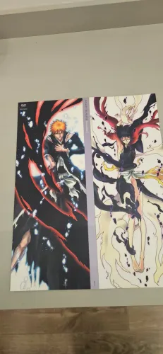 Bleach fade to black special edition DVD