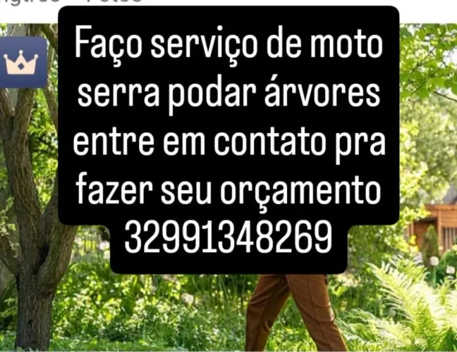 Serviços de capina,poda de árvores e limpeza de terreno