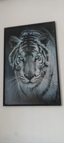 Quadro