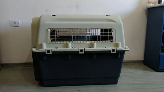 Caixa transportadora para pets