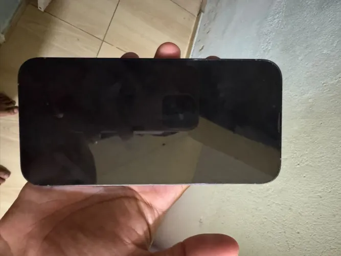 iPhone 13 Pro Max 256GB