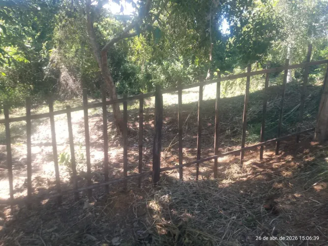 Dois lotes jardim da croa