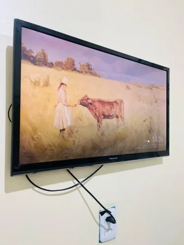 Tv Panasonic 32 polegadas + Chromecast 