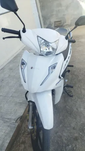 ? Aveloz 2025 ? Nova, íntegra e pronta pra rodar! ?