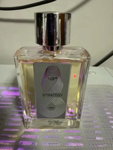 Perfume Lab8 Strategy