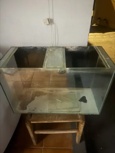 Aquário 100L