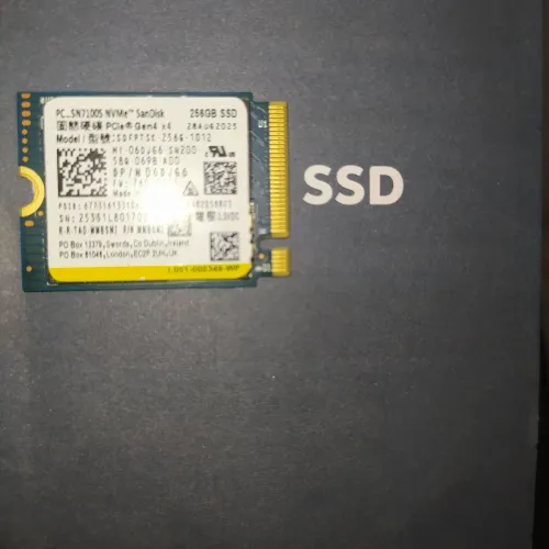 NVMe SanDisk 256GB Gen4 Semi-novo